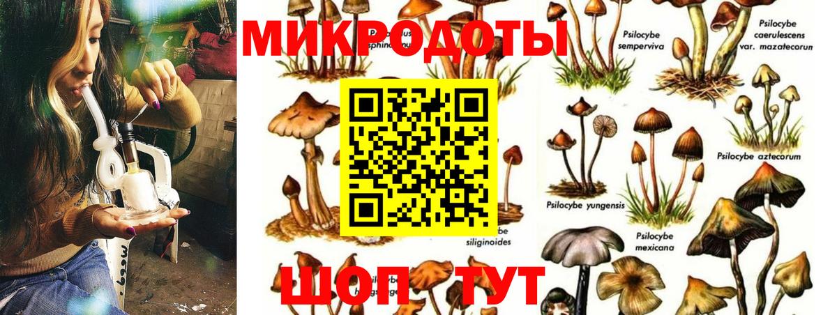 Псилоцибиновые грибы Psilocybine cubensis  Вход с VPN  Новочебоксарск  Псилоцибиновые грибы GOLDEN TEACHER 